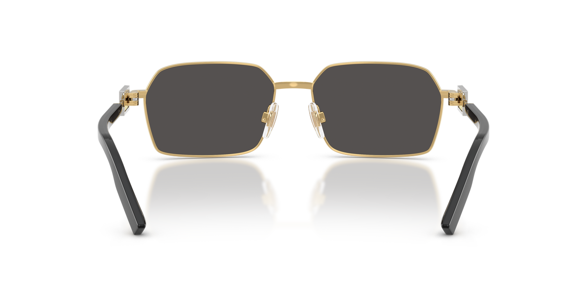 Dolce & Gabbana DG2316 02/87