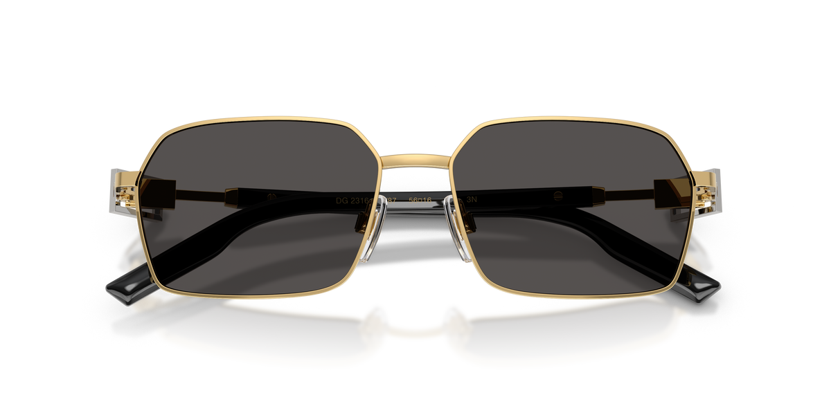 Dolce & Gabbana DG2316 02/87