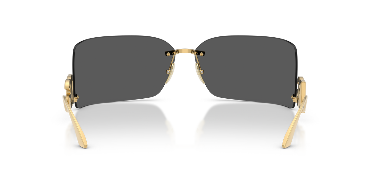 Dolce & Gabbana DG2319 02/87