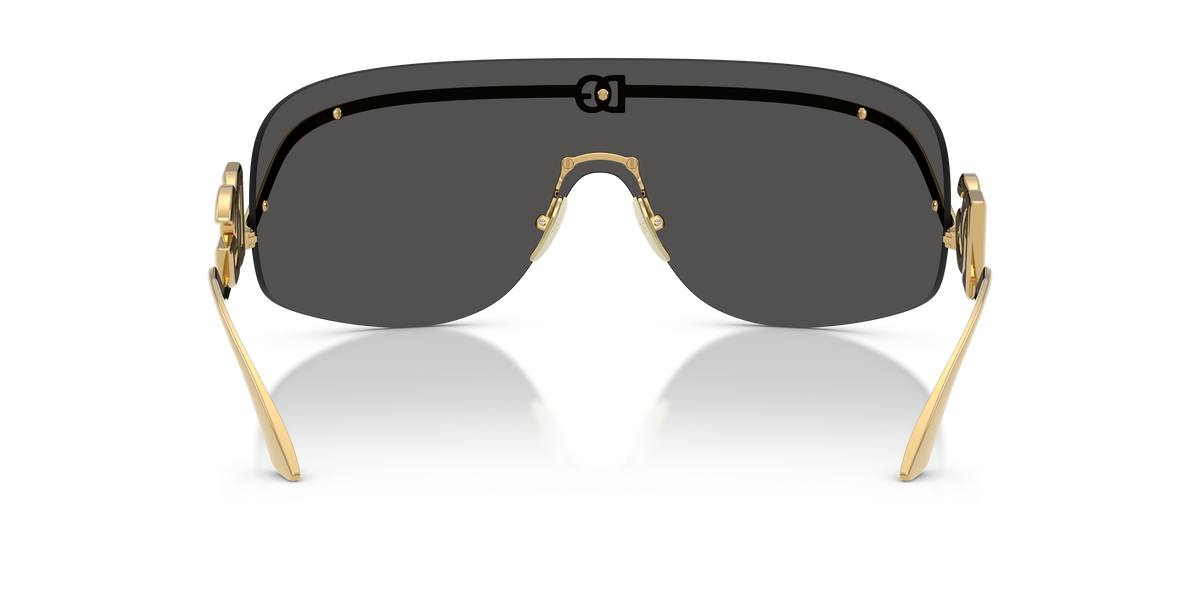 Dolce & Gabbana DG2320 02/87