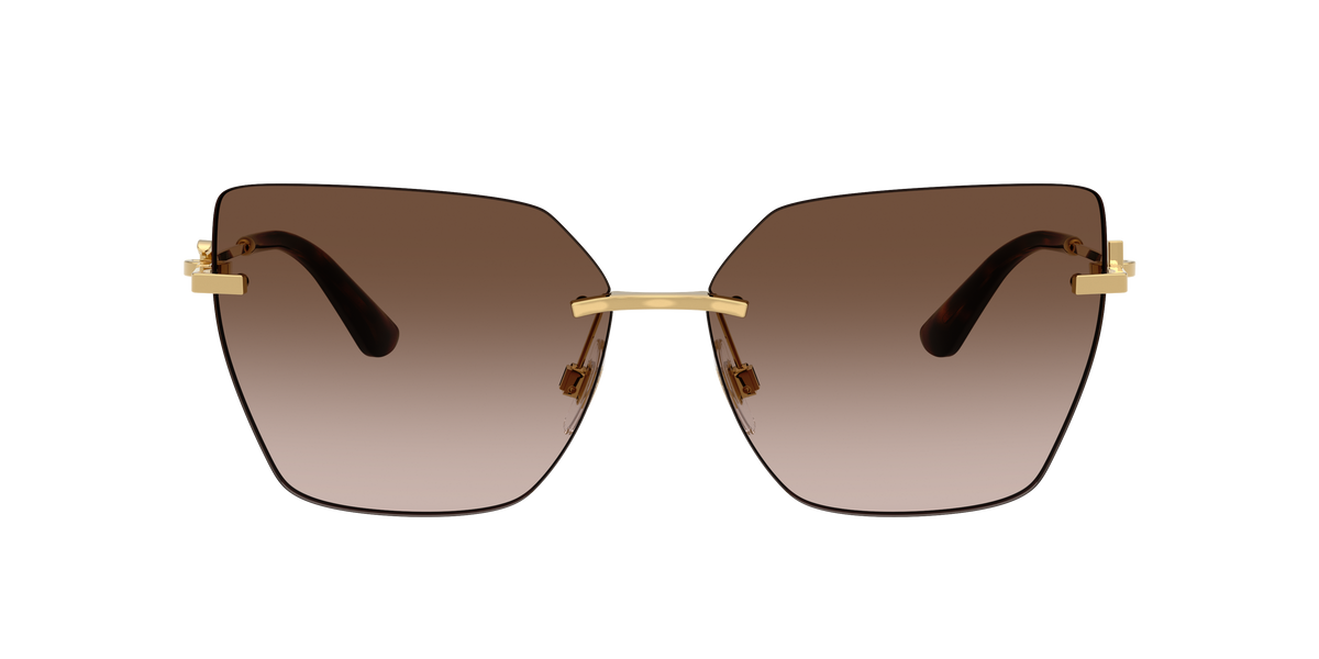 Dolce & Gabbana DG2321 02/13