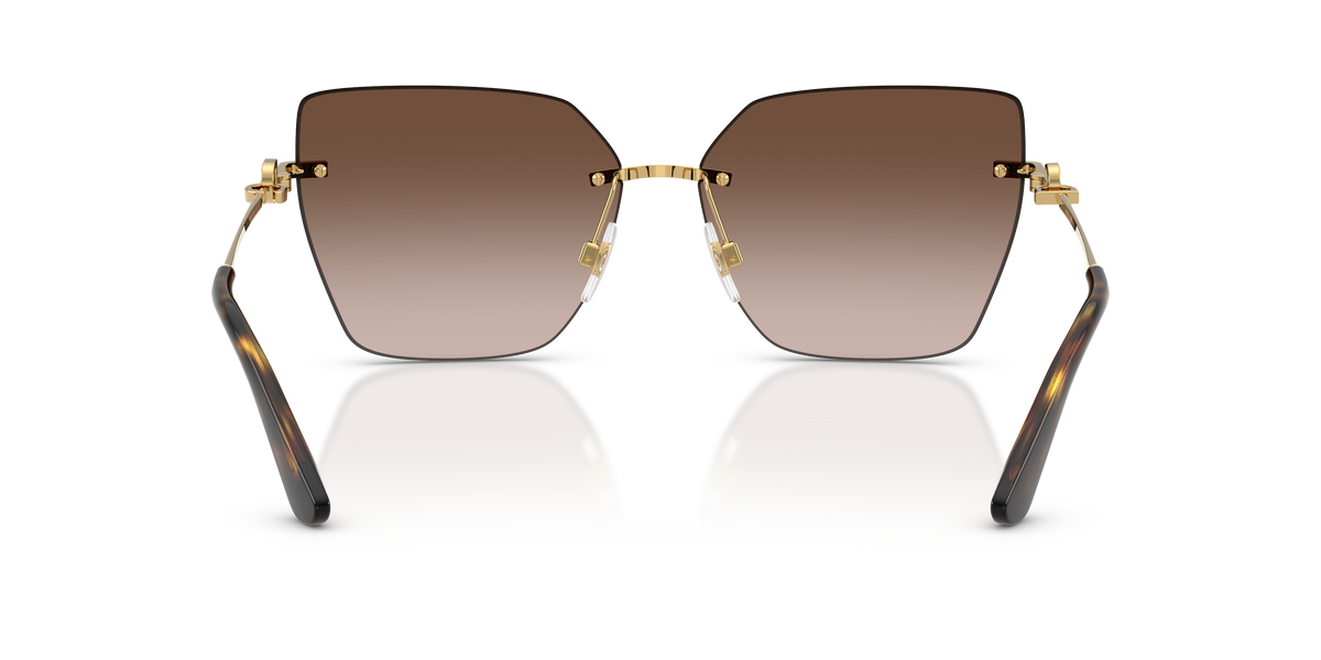 Dolce & Gabbana DG2321 02/13