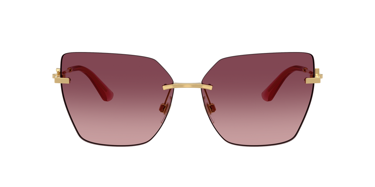 Dolce & Gabbana DG2321 02/8D