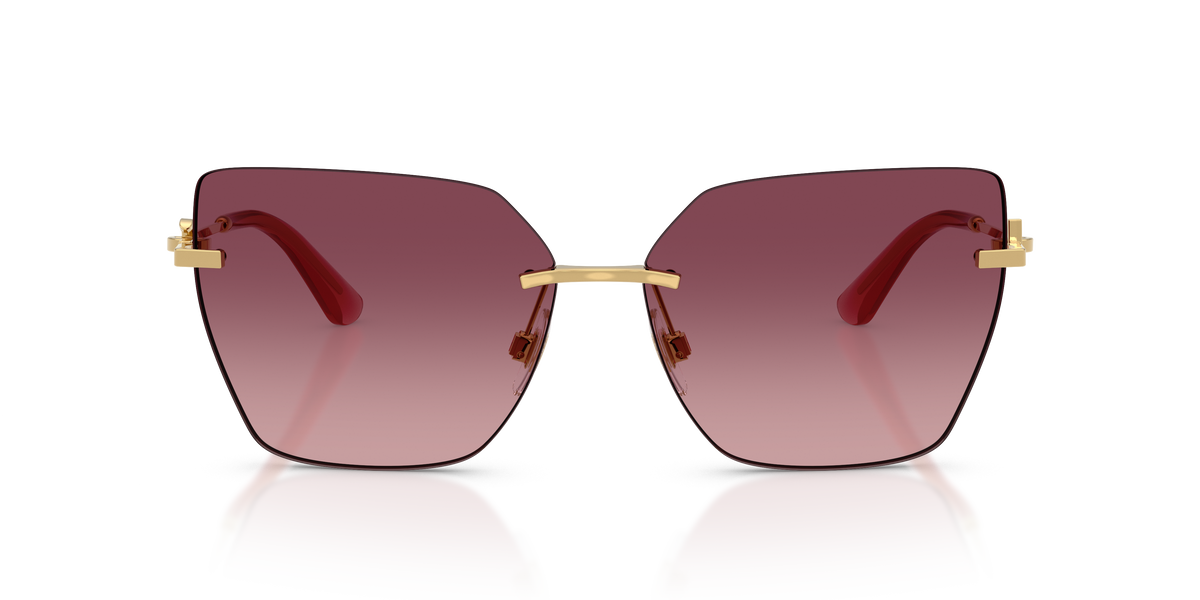 Dolce & Gabbana DG2321 02/8D
