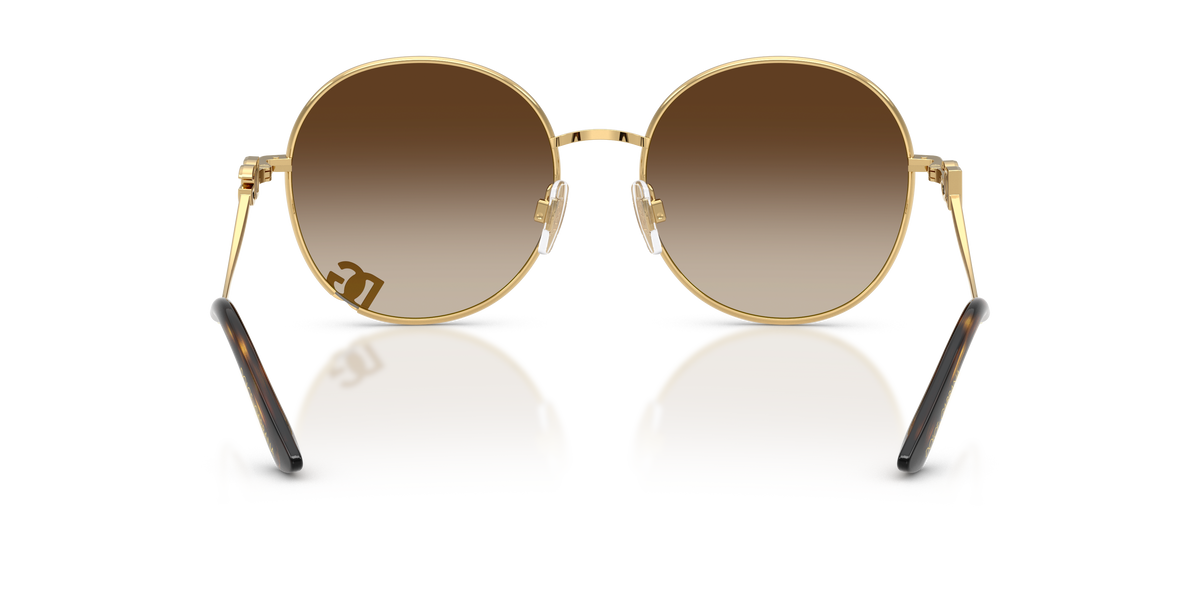 Dolce & Gabbana DG2324 02/13