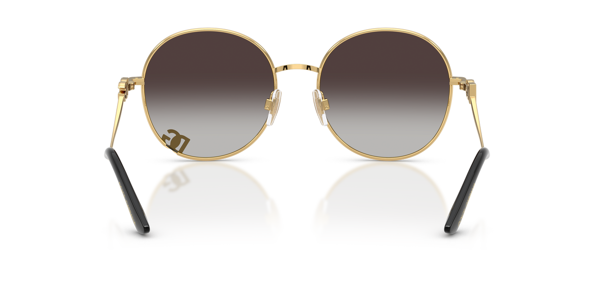 Dolce & Gabbana DG2324 02/8G