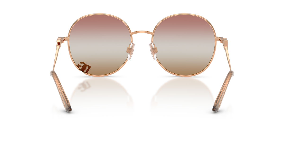 Dolce & Gabbana DG2324 1298EL