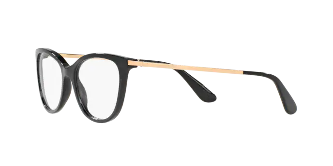 Dolce & Gabbana DG3258 501