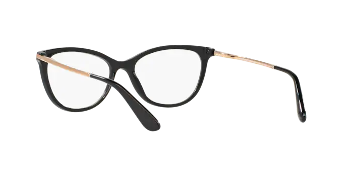 Dolce & Gabbana DG3258 501