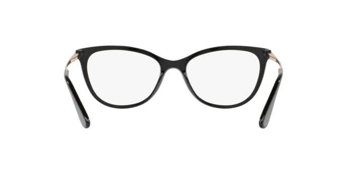 Dolce & Gabbana DG3258 501