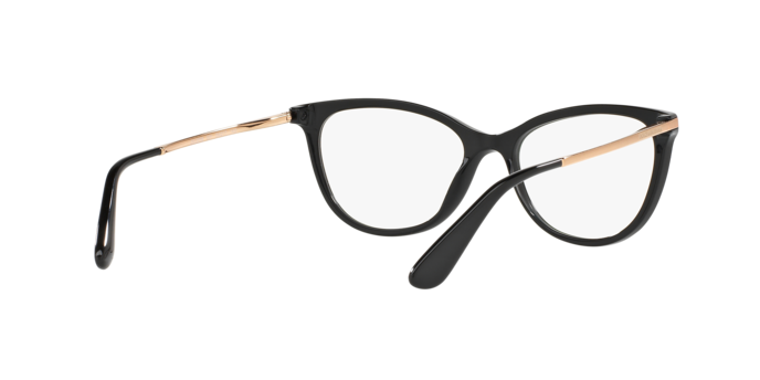 Dolce & Gabbana DG3258 501