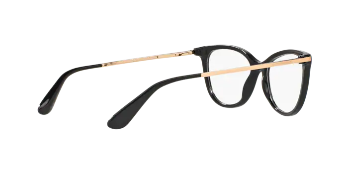 Dolce & Gabbana DG3258 501