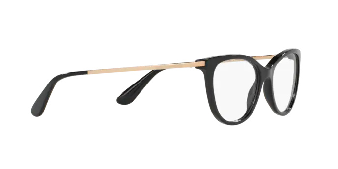 Dolce & Gabbana DG3258 501