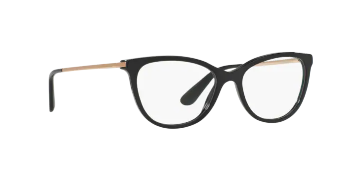 Dolce & Gabbana DG3258 501
