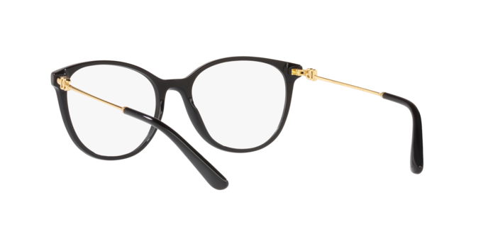 Dolce & Gabbana DG3363 501
