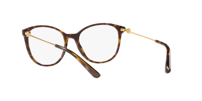 Dolce & Gabbana DG3363 502
