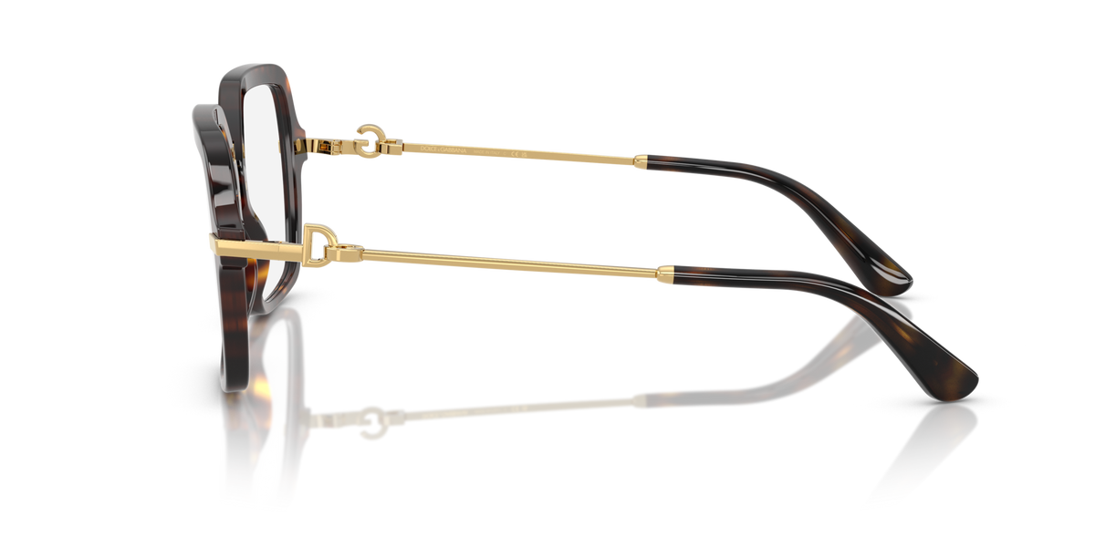 Dolce & Gabbana DG3396 502
