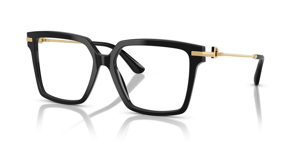 Dolce & Gabbana DG3397 501