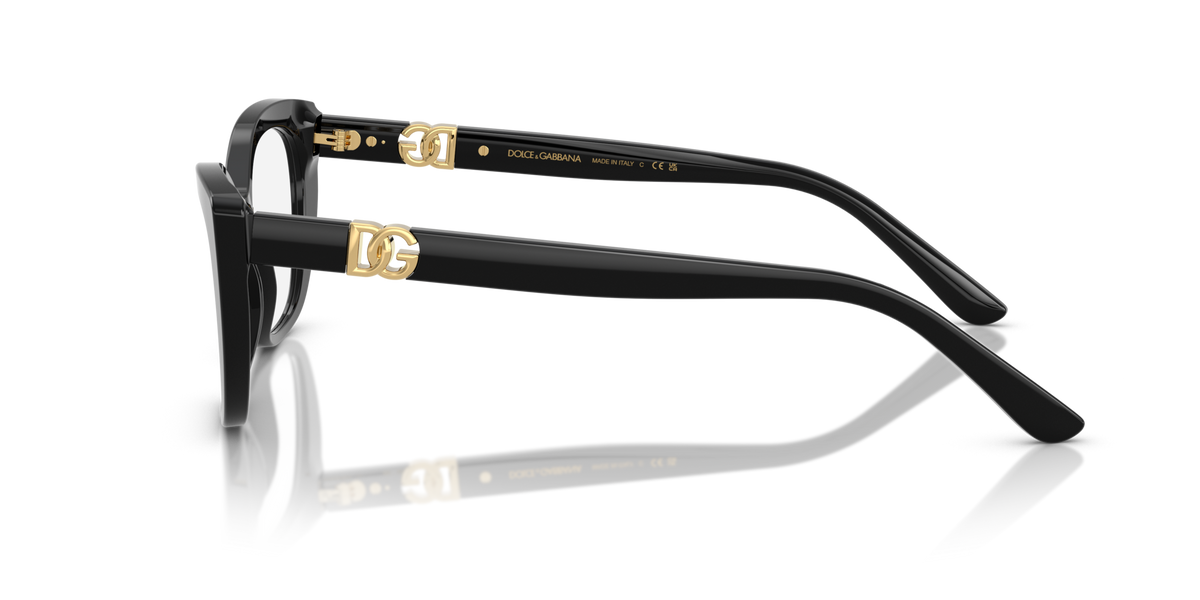 Dolce & Gabbana DG3398 501