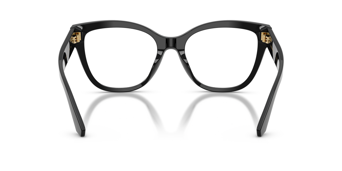 Dolce & Gabbana DG3418 501