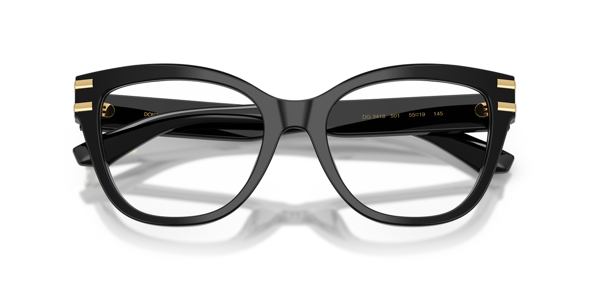 Dolce & Gabbana DG3418 501