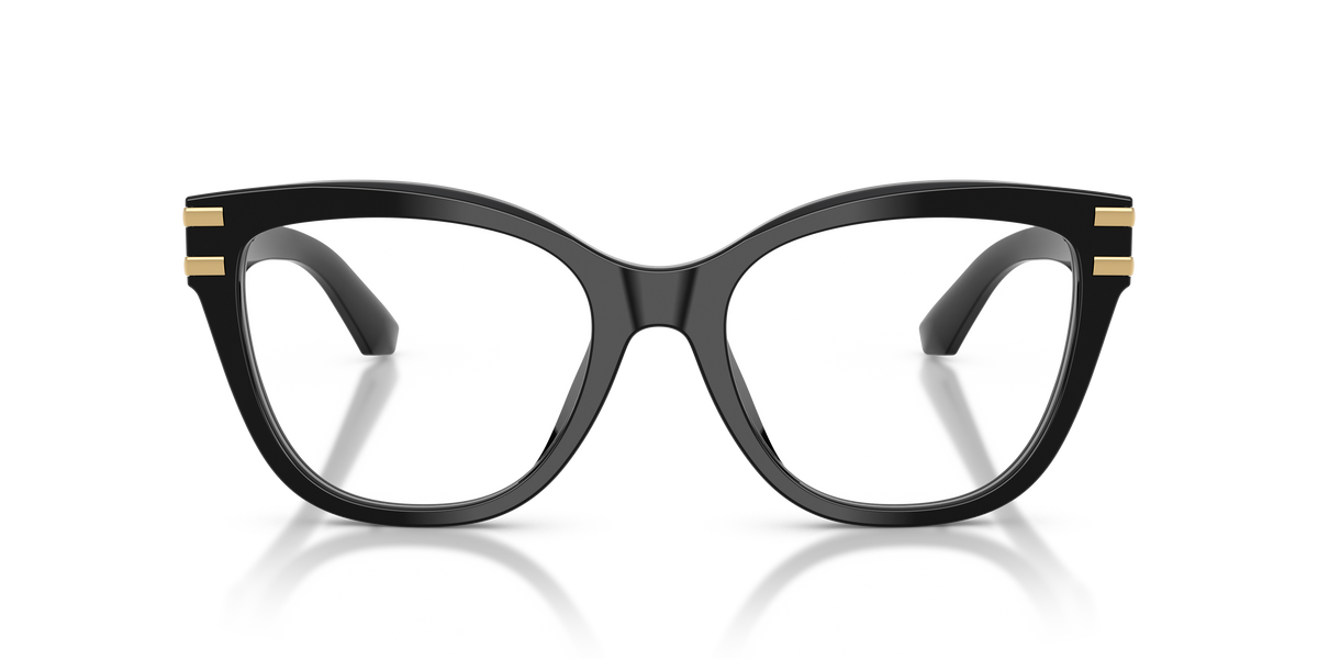Dolce & Gabbana DG3418 501