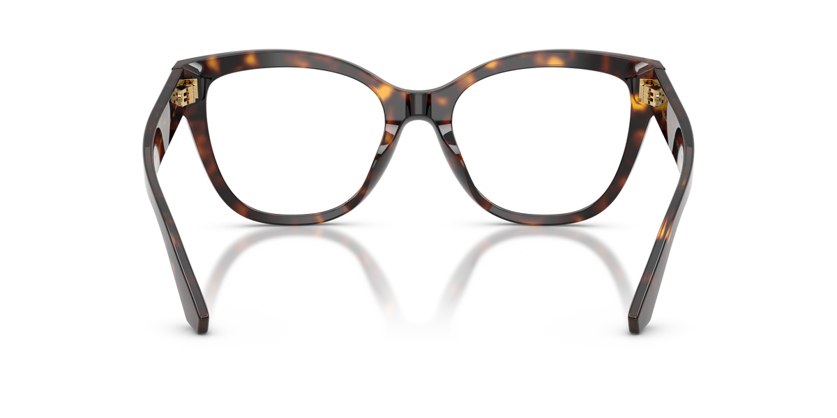 Dolce & Gabbana DG3418 502