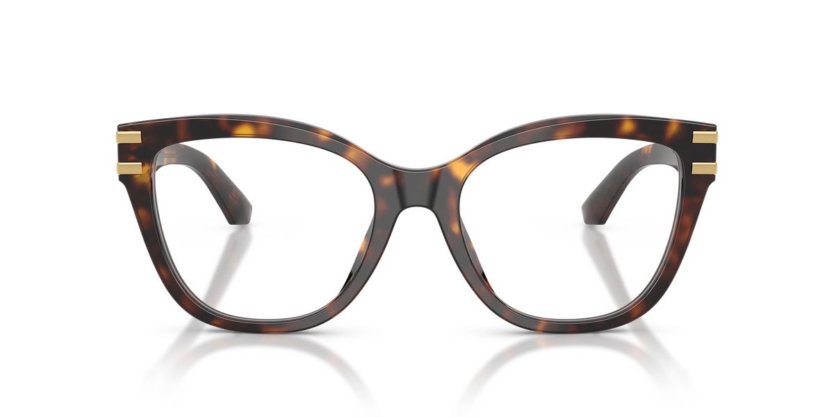 Dolce & Gabbana DG3418 502
