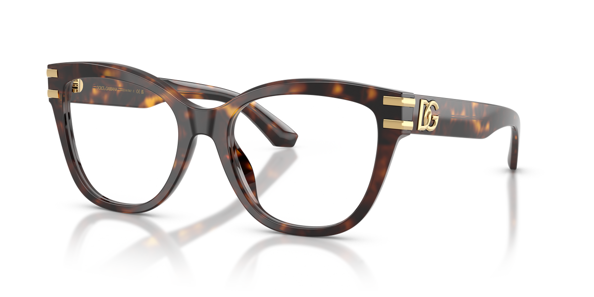 Dolce & Gabbana DG3418 502