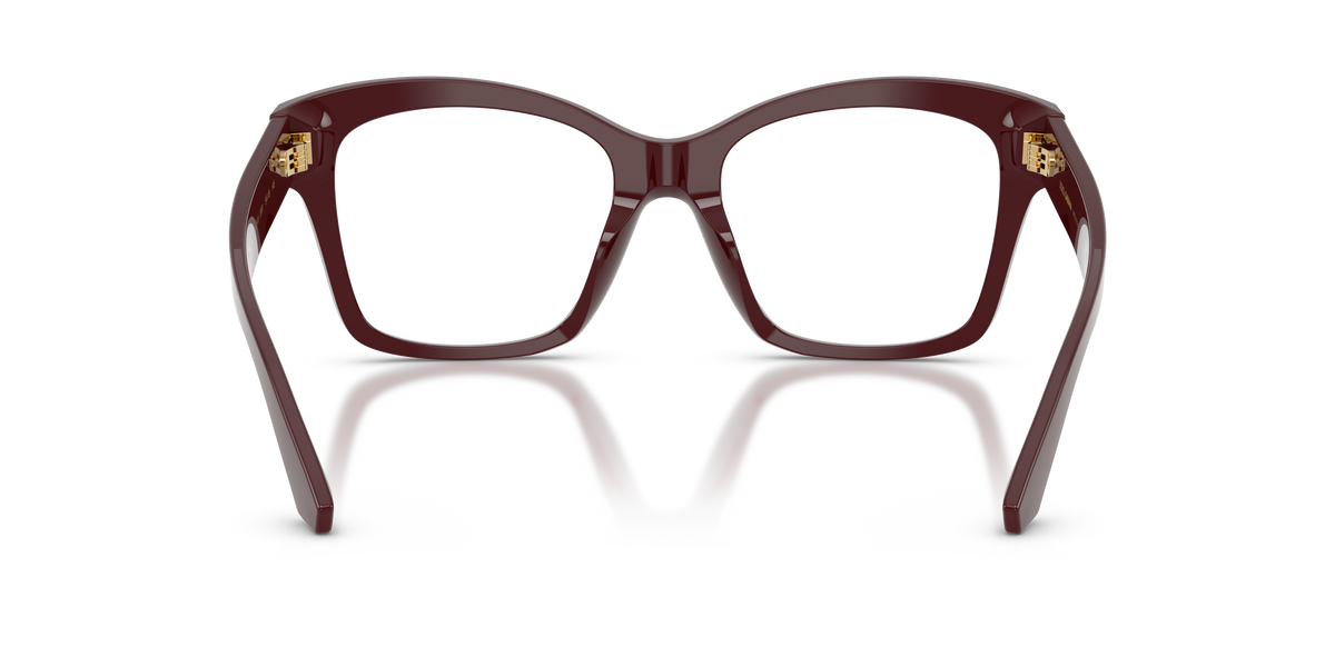 Dolce & Gabbana DG3419 3091