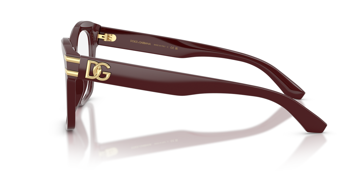 Dolce & Gabbana DG3419 3091