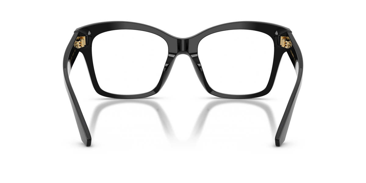 Dolce & Gabbana DG3419 501
