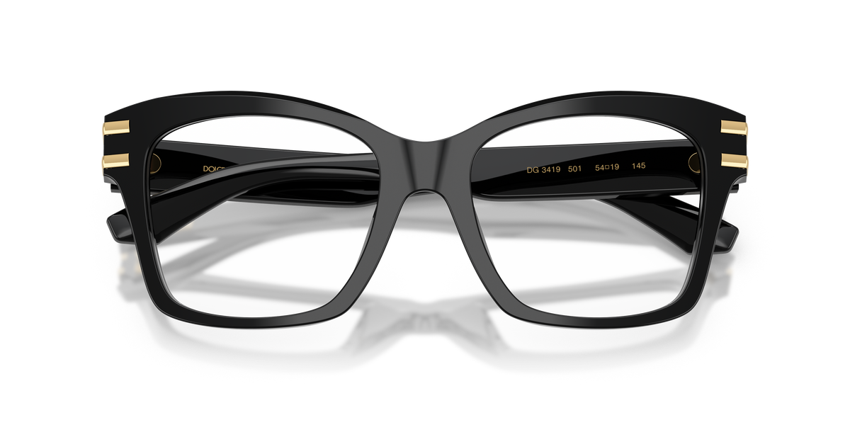 Dolce & Gabbana DG3419 501