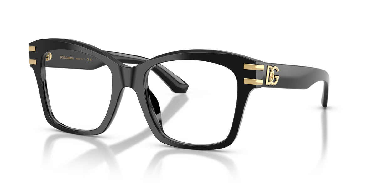Dolce & Gabbana DG3419 501