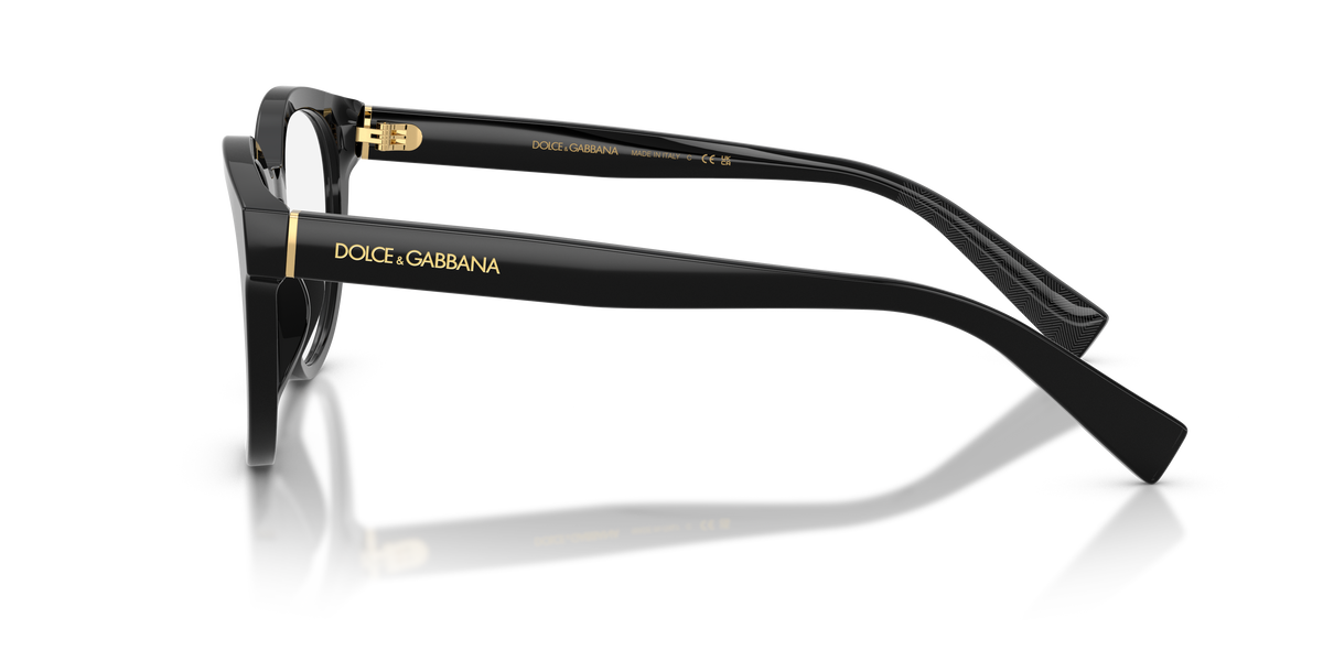 Dolce & Gabbana DG3421 501