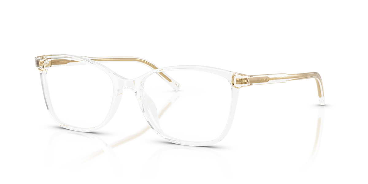 Dolce & Gabbana DG3424 3133