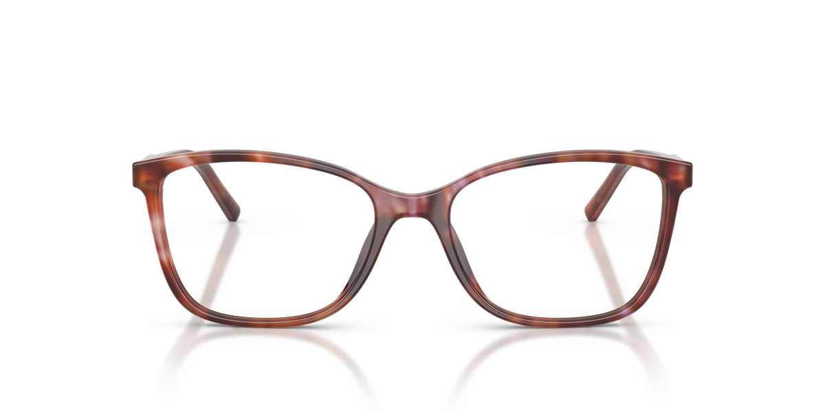 Dolce & Gabbana DG3424 3444