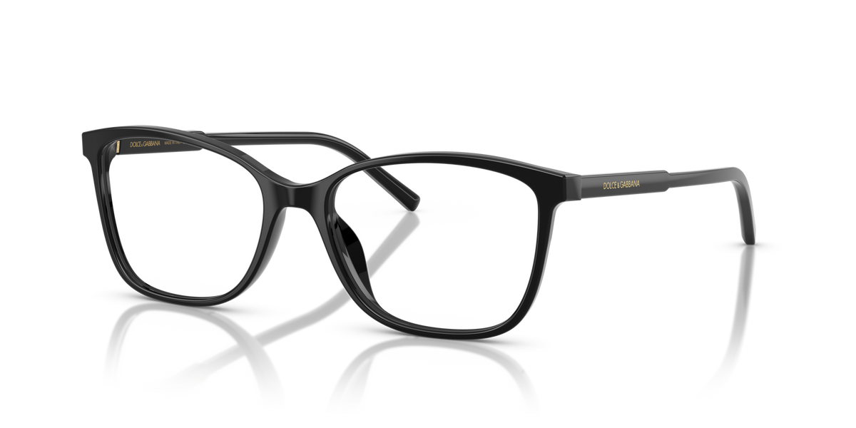 Dolce & Gabbana DG3424 501