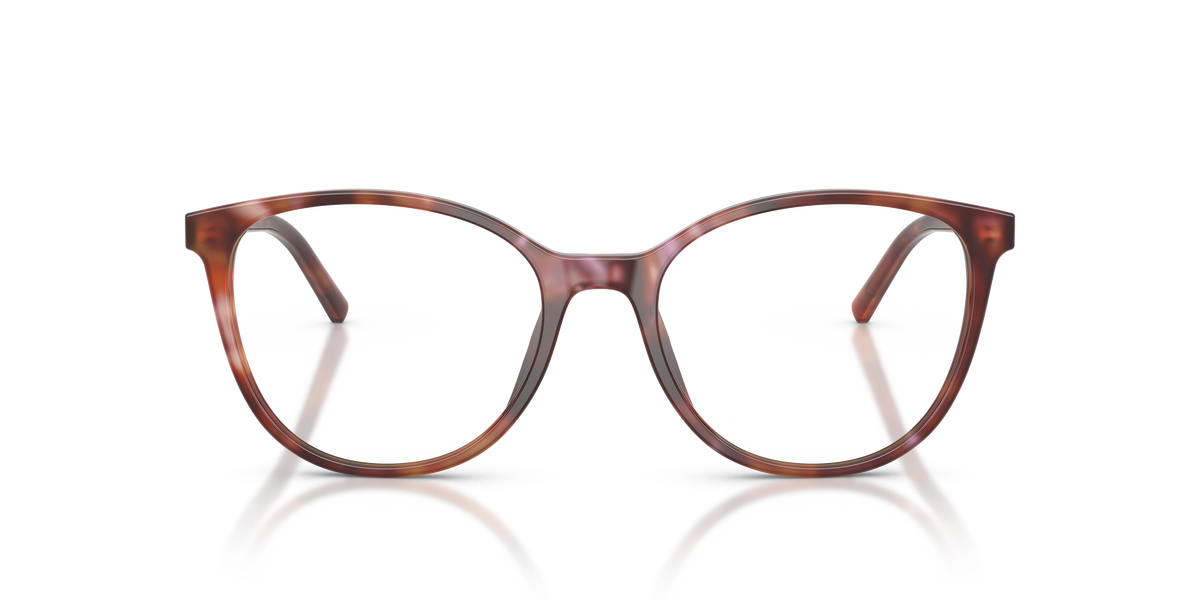 Dolce & Gabbana DG3425 3444