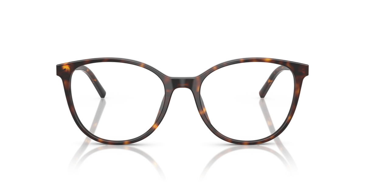 Dolce & Gabbana DG3425 502