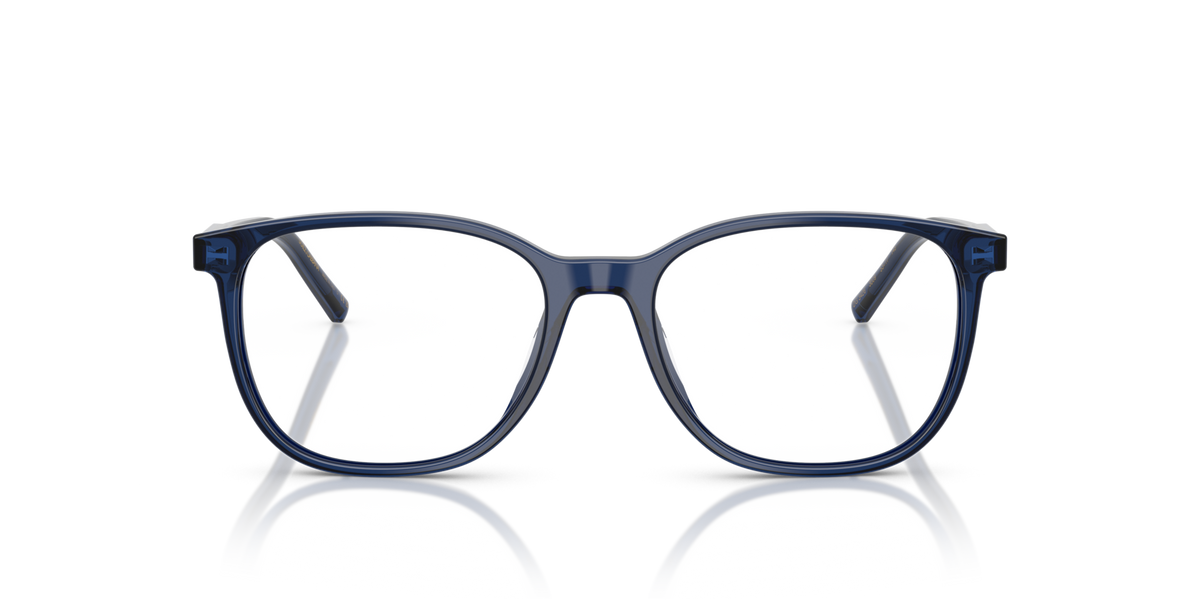 Dolce & Gabbana DG3426 3009