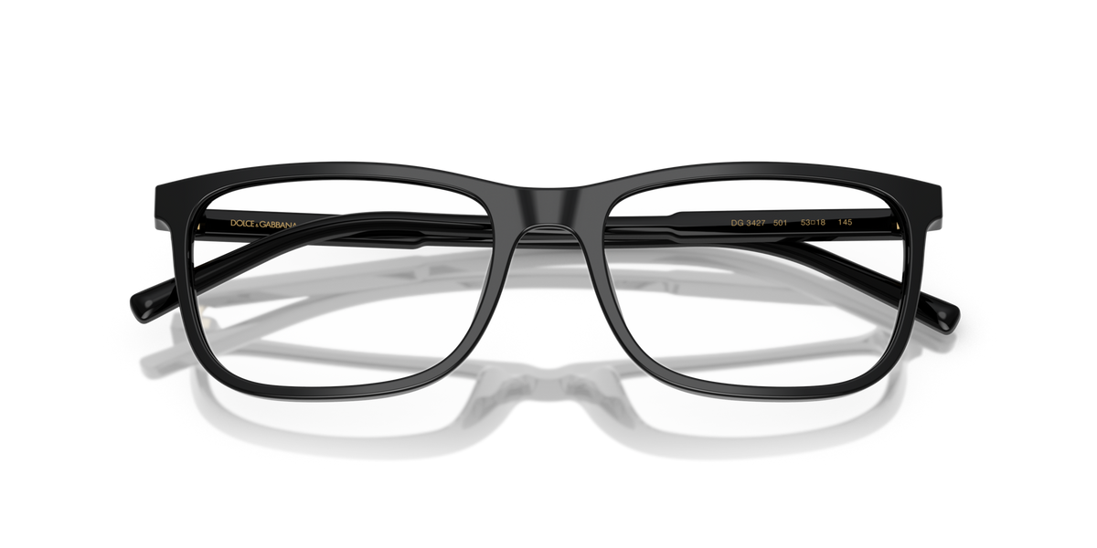 Dolce & Gabbana DG3427 501