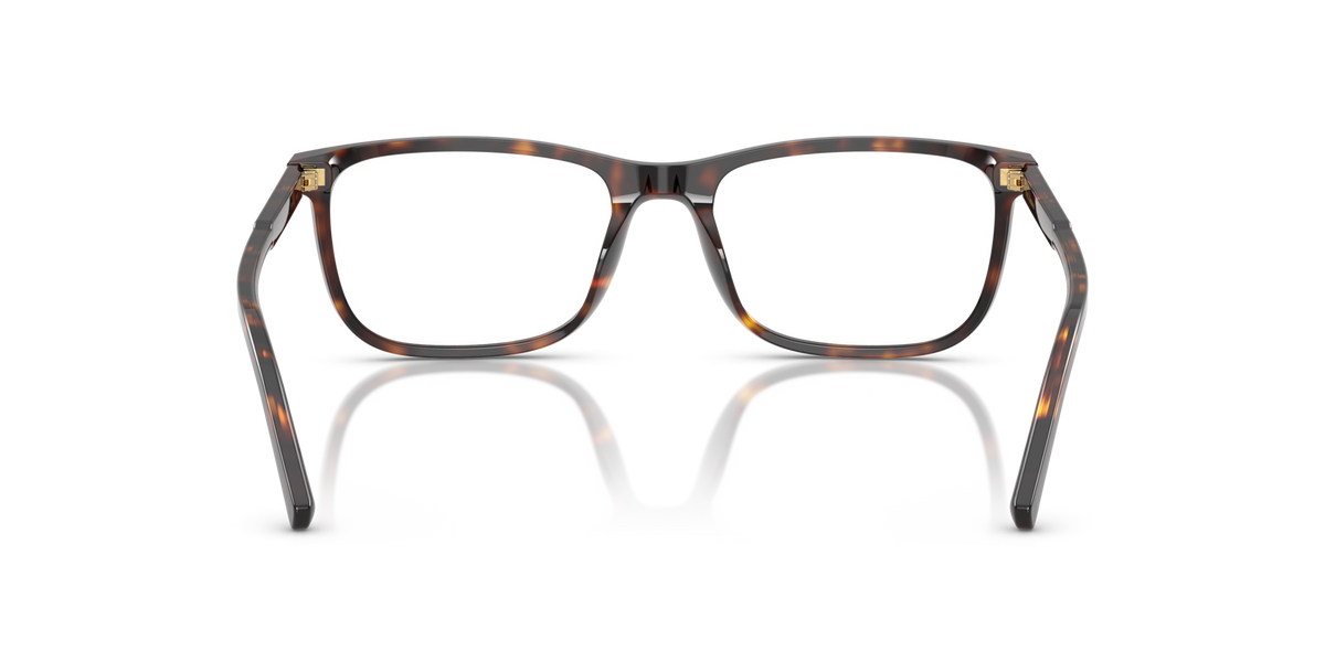 Dolce & Gabbana DG3427 502