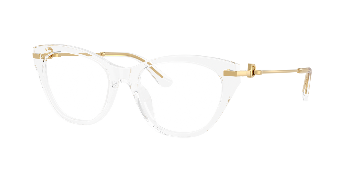 Dolce & Gabbana DG3428 3133