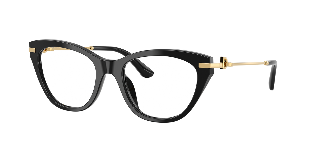 Dolce & Gabbana DG3428 501