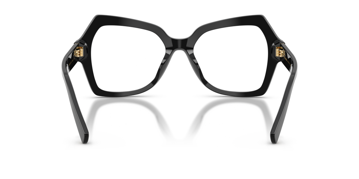 Dolce & Gabbana DG3429 501