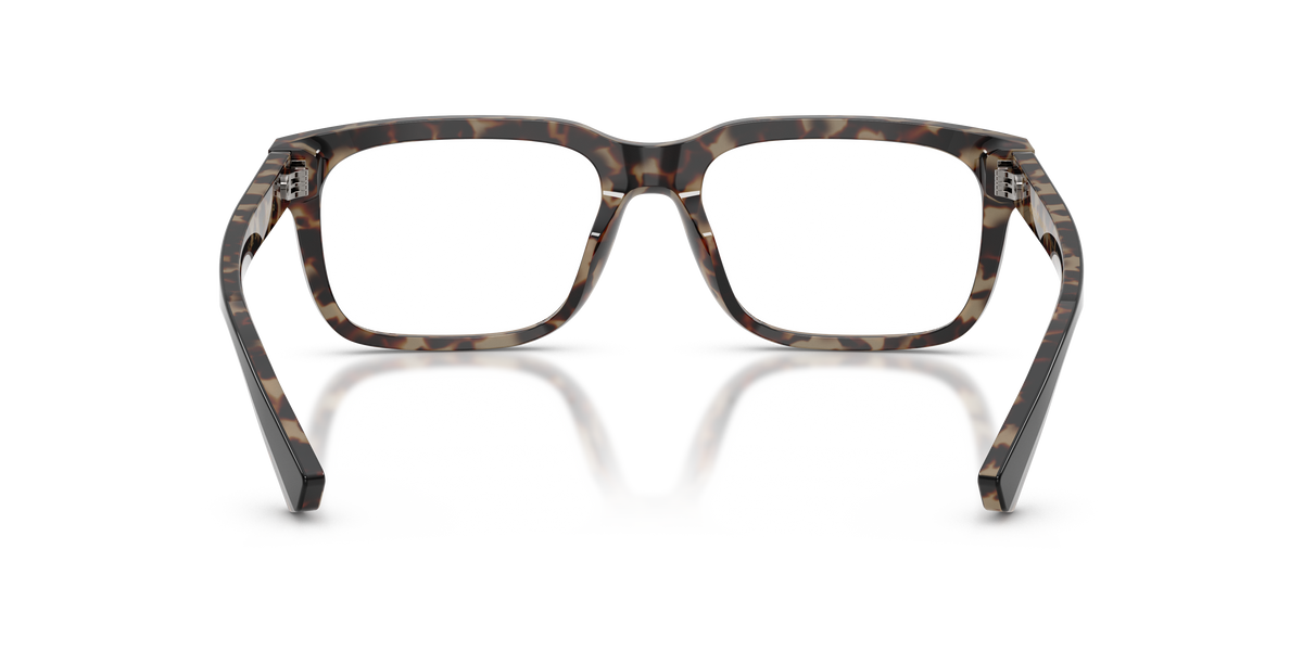Dolce & Gabbana DG3432 3417