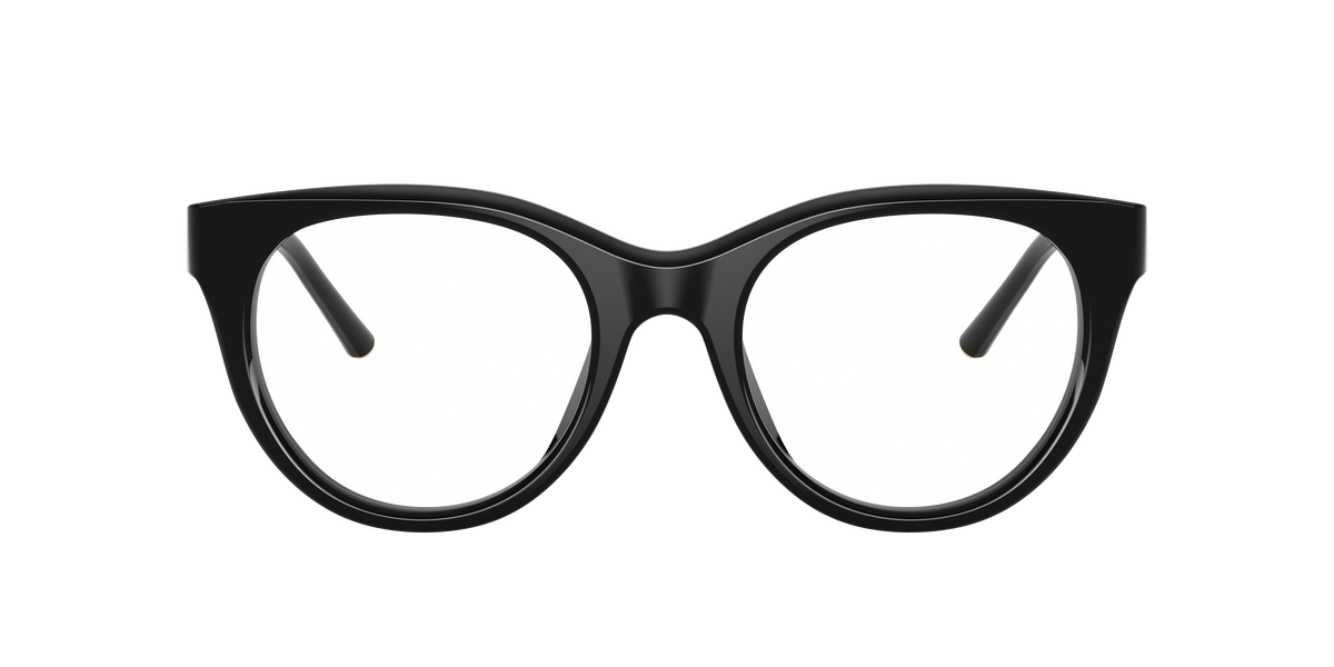 Dolce & Gabbana DG3433 501