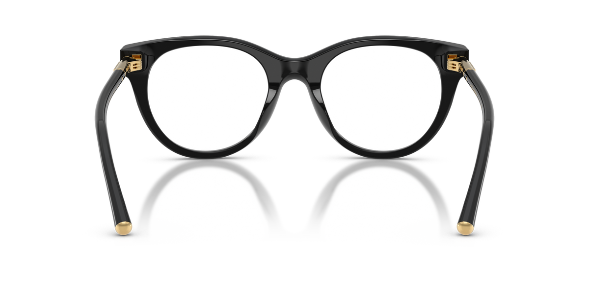 Dolce & Gabbana DG3433 501