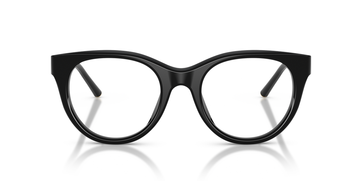 Dolce & Gabbana DG3433 501